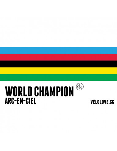 Cycling World Champion Rainbow Stripe Mug