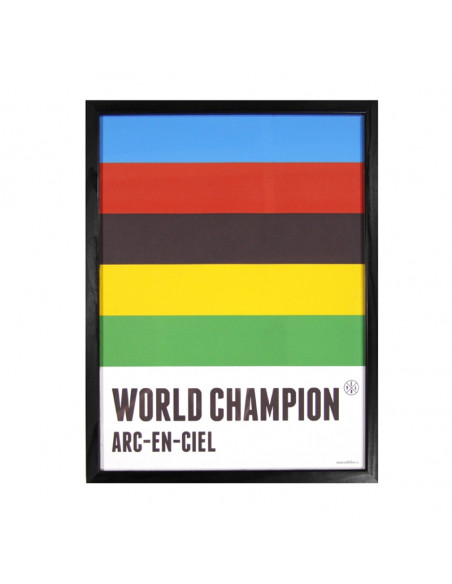 World Champion Rainbow Jersey Framed Print