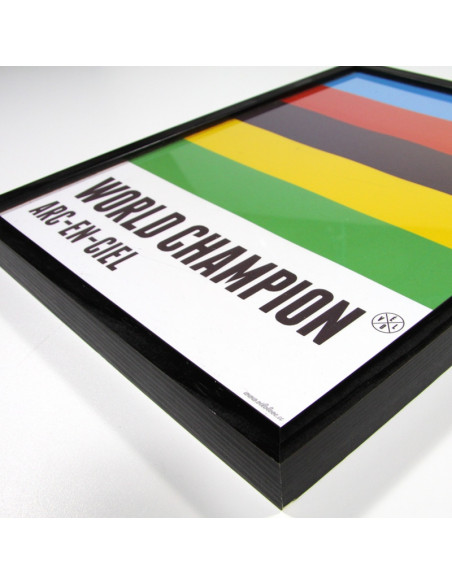 World Champion Rainbow Jersey Framed Print